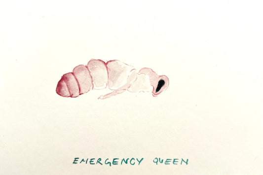 #1 Emergency Queen