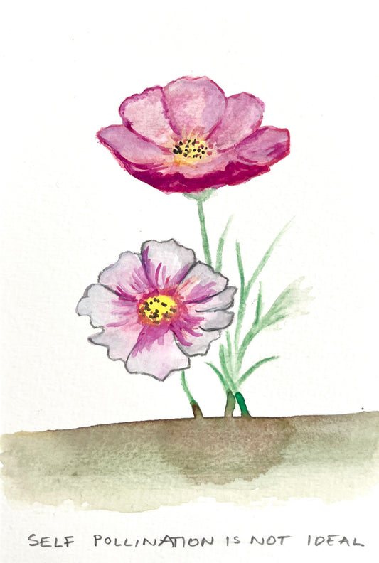 Self Pollination Is Not Ideal