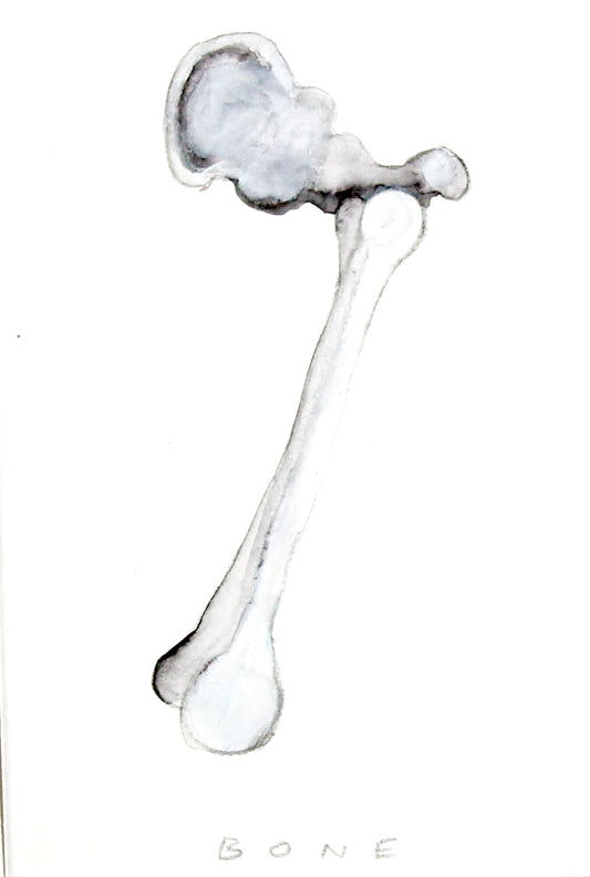 Bone