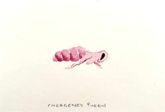 #3 Emergency Queen