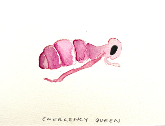 #4 Emergency Queen