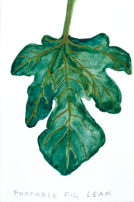 Fig Leaf